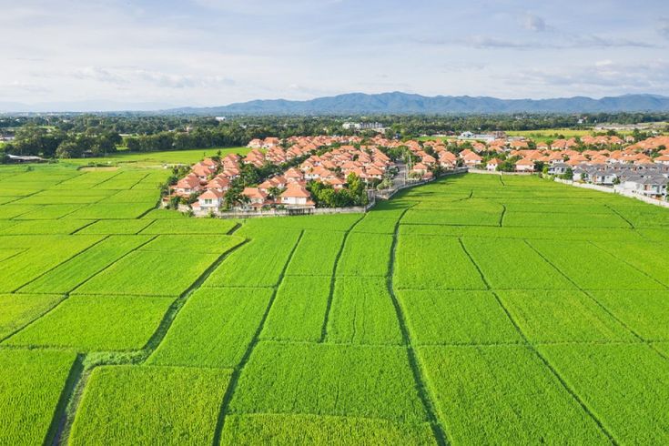 What Tax Benefits Exist for Agricultural Land Investments, and What Are the Requirements