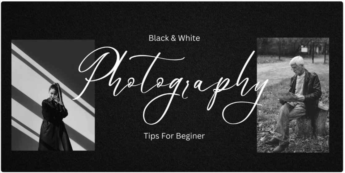 How Can Photography WordPress Themes Help You Showcase Your Work Online? A Complete Guide